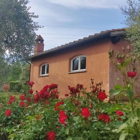 Villa La Casa Delle Rose Terranuova Bracciolini Exterior foto