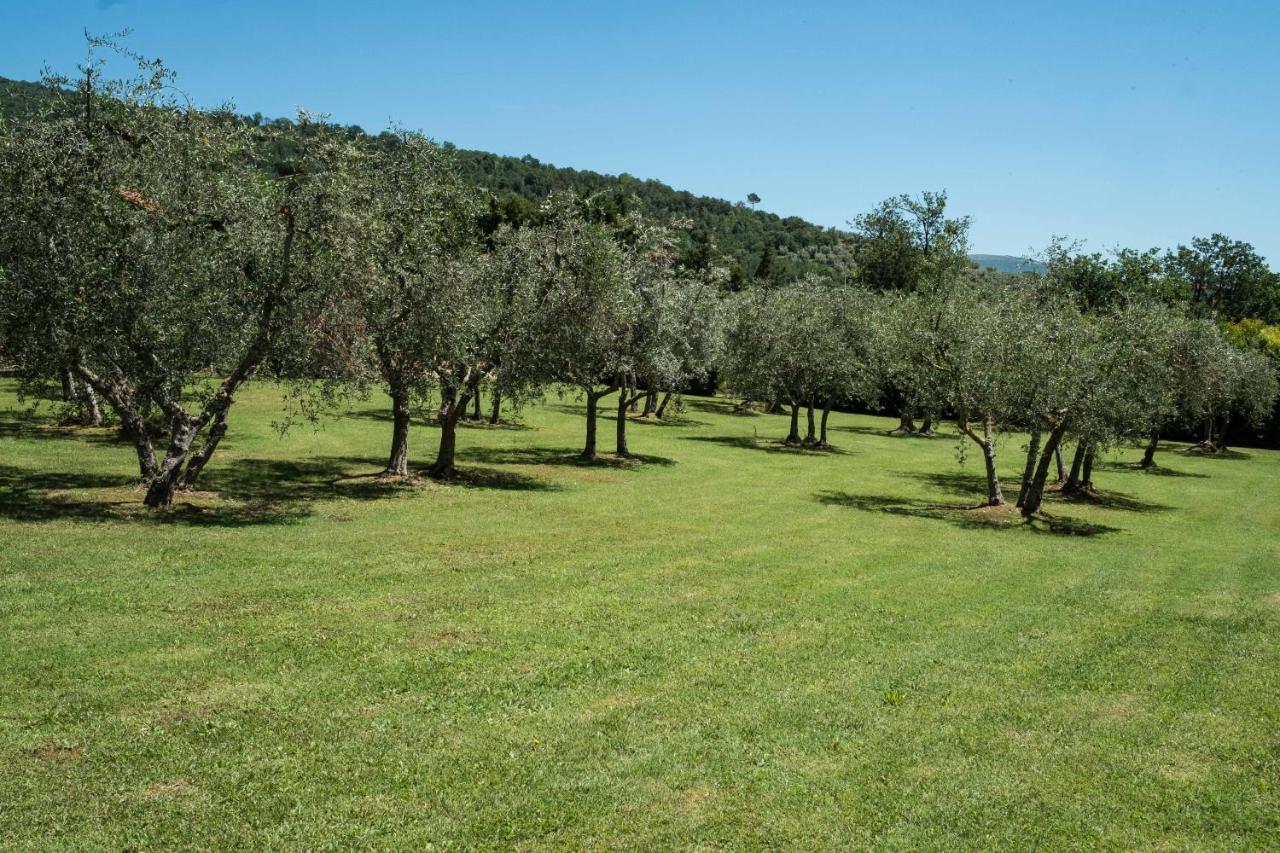 Villa La Casa Delle Rose Terranuova Bracciolini Exterior foto